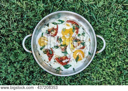 Sunny Side Up Farm Eggs With Added Tomatoes Thyme Onion And Cheese In Metal Frying Pan On Lush Green