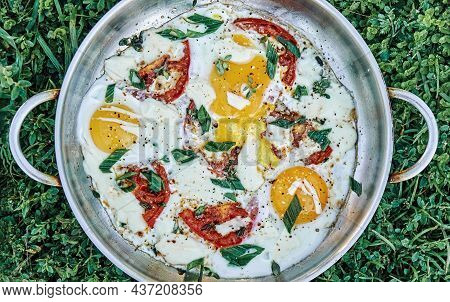 Sunny Side Up Farm Eggs With Added Tomatoes Thyme Onion And Cheese In Metal Frying Pan On Lush Green