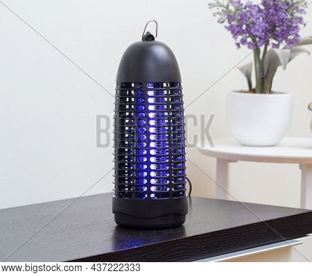 Electric Mosquito And Insect Killer With Violet Light In Living Room