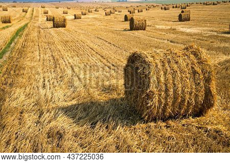 Endless Field With Bales Of Straw. Australian Rural Landscape. Authentic Farm Series