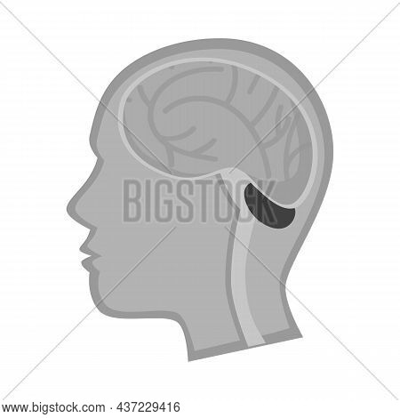 Vector Illustration Of Head And Brain Logo. Web Element Of Head And Human Stock Symbol For Web.