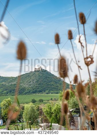 Sharp Peak Of White Rocks Of Palava Hills With Devicky Ruin. Popular Hiking Region At South Of Morav
