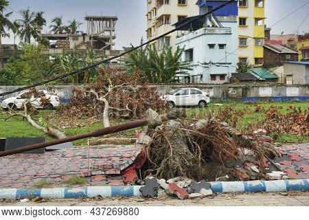 Howrah, West Bengal, India - 31st May 2020 : Super Cyclone Amphan Uprooted Tree And The Force Raised