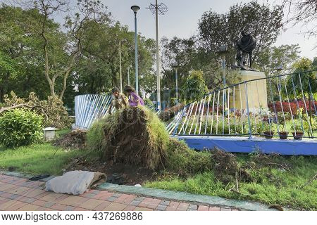 Kolkata, West Bengal, India - 28th May 2020 : Two Girl Children Are Playing On A Tree, Uprooted By S