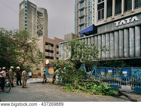 Kolkata, West Bengal, India- 25th May 2020 : Super Cyclone Amphan Uprooted Tree Which Fell And Block