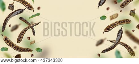 Creative Composition. Floating Organic Carob Pods, Seeds, Leafs. Food Background. Natural Vegan Eati