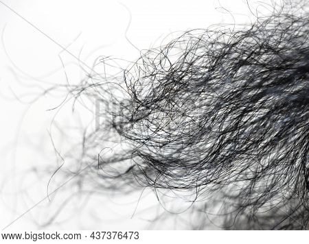 Closeup Image Of Black Coily Hair Of Lady In White Background. Selective Focus