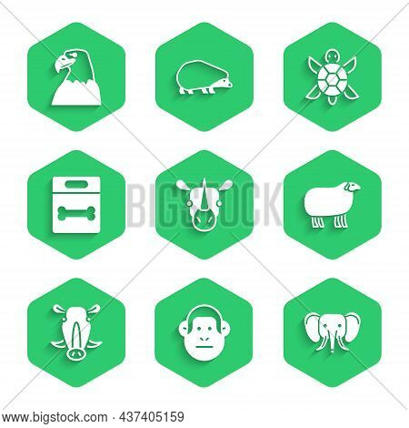 Set Rhinoceros, Monkey, Elephant, Sheep, Wild Boar Head, Dog Bone, Turtle And Eagle Icon. Vector
