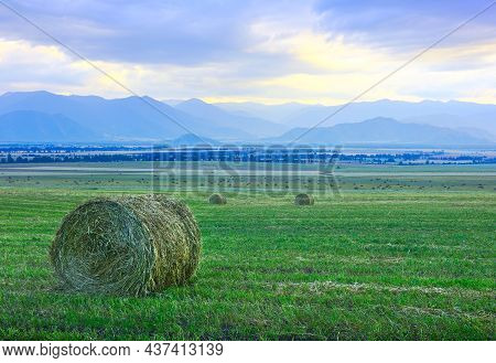 Hay Rolls In The Steppe Among The Blue Mountains In The Fog, Cloudy Sunset Sky. Siberia, Russia