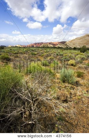 Snow Canyon Utah