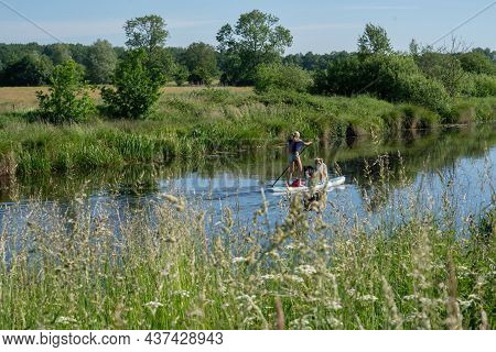 A Sun-tanned Woman In A T-shirt With Bikini Bottoms On A Sup Board. Together With Two German Shepher