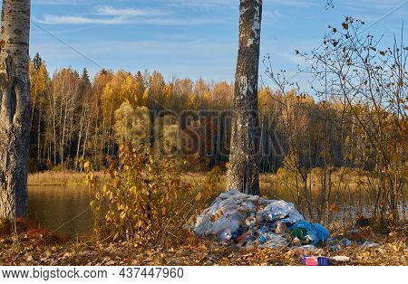 A Pile Of Garbage By A Tree On The Lake Shore.