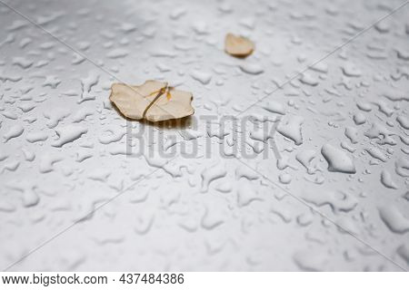 Drops On A Car With Dry Yellow Leaves In Autumn