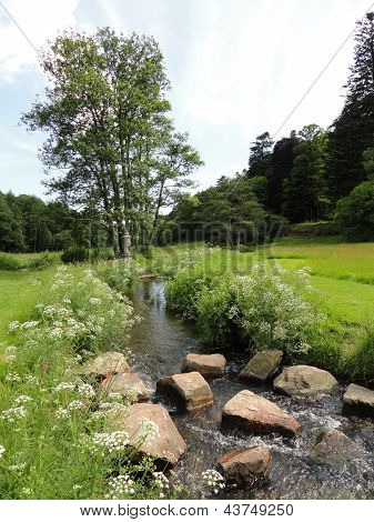 Paesaggio rurale Stream