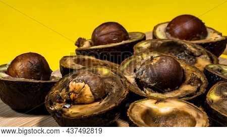 Contaminated Tropical Fruits. Bad Avocado Half Close Up On Yellow Background. Bad Vegan Food. Rotten