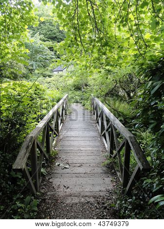 Paesaggio rurale ponte