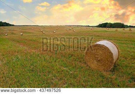 Haystack In Field On Sunset. Hay Bale From Residues Grass. Hay Stack For Farm Animals. Hay In Rolls 