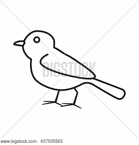 Vector Design Of Bird And Tit Icon. Collection Of Bird And Titmouse Stock Vector Illustration.