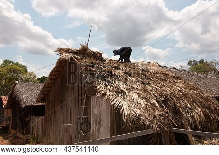 Man Reattaching A Roof With Palm Branches Near The City Of Carolina, Brazil In The State Of Maranhao