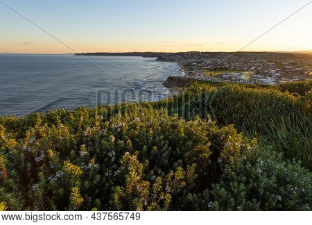 Afternoon View Of Wildflowers With Merewether Beach In The Background At Newcastle