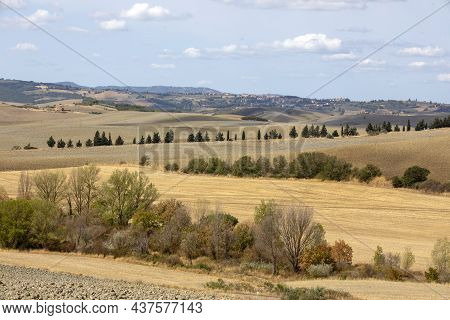 Val D' Orcia (si), Italy - August 05, 2021: Typical Landscape In Val D' Orcia, Tuscany, Italy