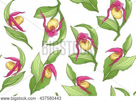 Ladys Slipper Orchid, Cypripedioideae. Seamless Pattern, Background. Vector Illustration. In Botanic