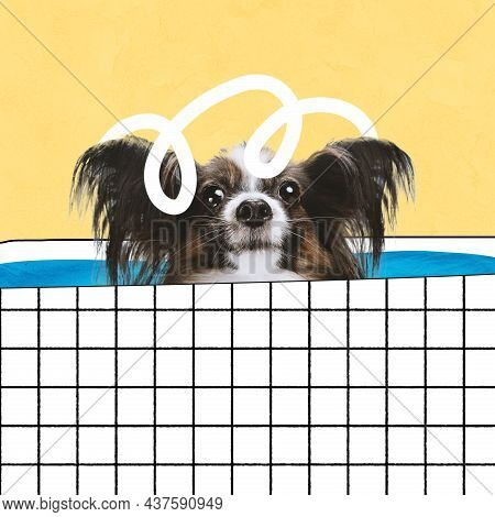 Contemporary Art Collage Of Cute Papillon Dog Swimming In Bathrooom Isolated Over Yellow Background