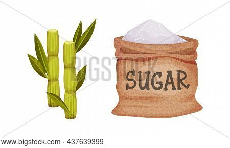Burlap Sack Full Of Refined Sugar And Sugarcane As Sweetener For Food And Drink Vector Set