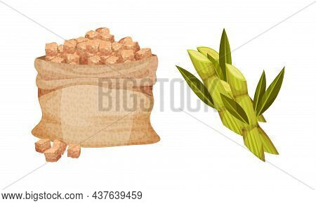 Pile Of Brown Sugar Cubes In Sack And Sugarcane As Sweetener For Tea And Coffee Vector Set