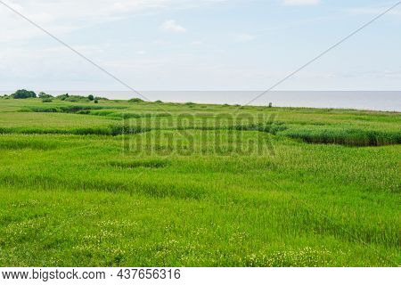 Nature Reserve Randu Meadows Are Located On The Eastern Shore Of The Gulf Of Riga In The Baltic Sea
