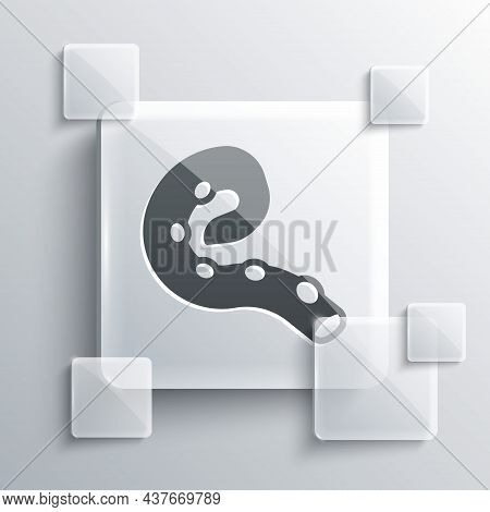 Grey Octopus Of Tentacle Icon Isolated On Grey Background. Square Glass Panels. Vector
