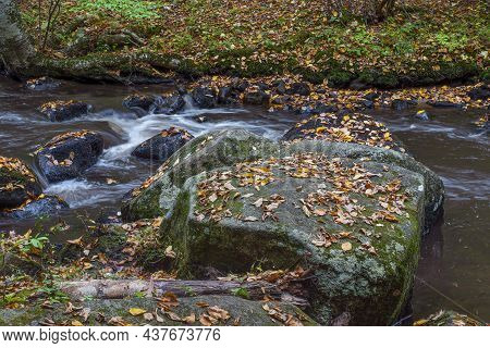 Autumn Leaves Cover The Rocks At Willard Brook In Ashby Massachusetts