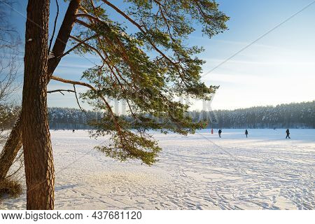 Beautiful View Of Ice Covered Balzis Lake. Snowy Pine Forests Surrounding A Small Lake. Winter Lands