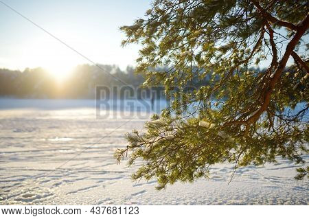 Beautiful View Of Ice Covered Balzis Lake. Snowy Pine Forests Surrounding A Small Lake. Winter Lands