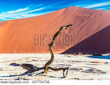 Picturesque dried fossilized trees at the bottom of the dried-up Lake Sossusflei. Vivid huge red and orange sand dunes. Africa, Namibia. The Namib-Naukluft Desert