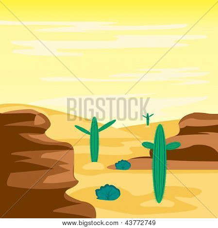 Desert And Cactuses