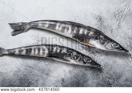 Raw Icefish On A Kitchen Table. White Background. Top View