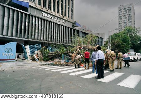 Kolkata, West Bengal, India- 25th May 2020 : Super Cyclone Amphan Uprooted Tree Which Fell And Block