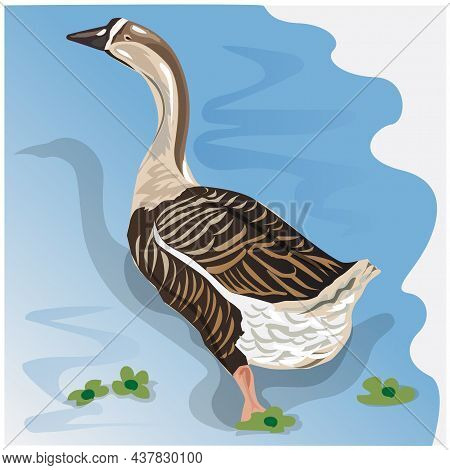 Illustration Goose Swimming In A Canal On A Blue Background Suitable For Making Posters, Designing O
