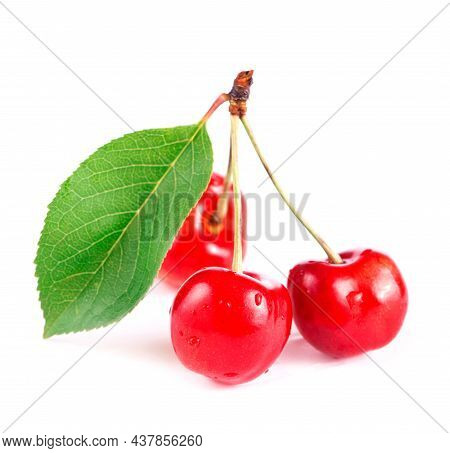 Wine And Tomatoes With Basil In Vintage Setting On Wooden Table