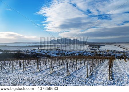 Winter vineyards under Palava near Sonberk, South Moravia, Czech Republic