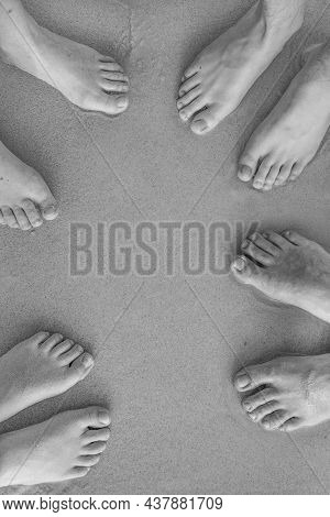 Feet Of The Family, Father, Mother  And Two Suns At The Sandy Beach