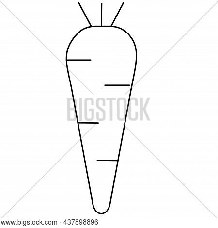 Carrot Line Vector. Isolate On White Background.