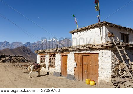 A White Horse Stands Near A White Stone Building. Ranipauwa Village, Mustang District, Nepal