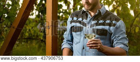 Cropped Oenologist Man Hold Wine Glass At Winery Outdoor, Summer
