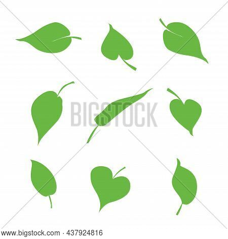 Collection Leaf Icon Set Illustration, Eco, Green, Natural Set On White Background.