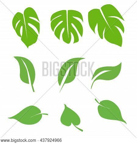 Collection Leaf Icon Set Illustration, Eco, Green, Natural Set On White Background.
