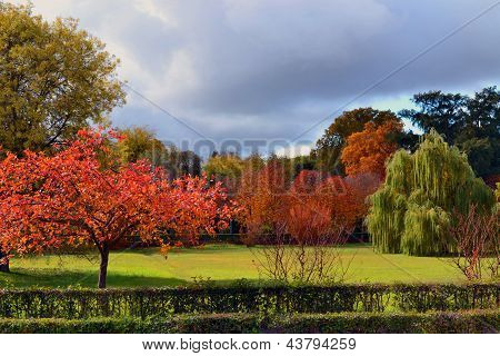 Paysage d'automne