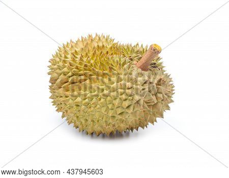 Fresh Cut Kanyao Durian On White Background, Durian The King Of (tropical) Fruits.