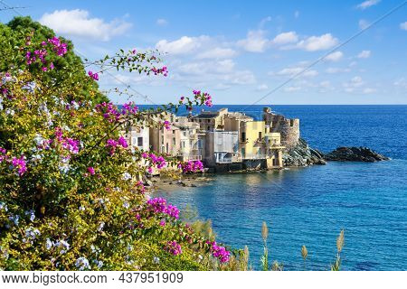 Landscape With Erbalunga, Ancient Village In Corsica, French